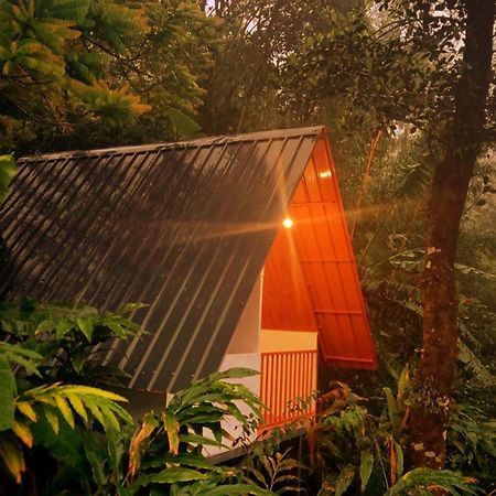 Munnar Home Stay Teadrops Plantation Villa Extérieur photo