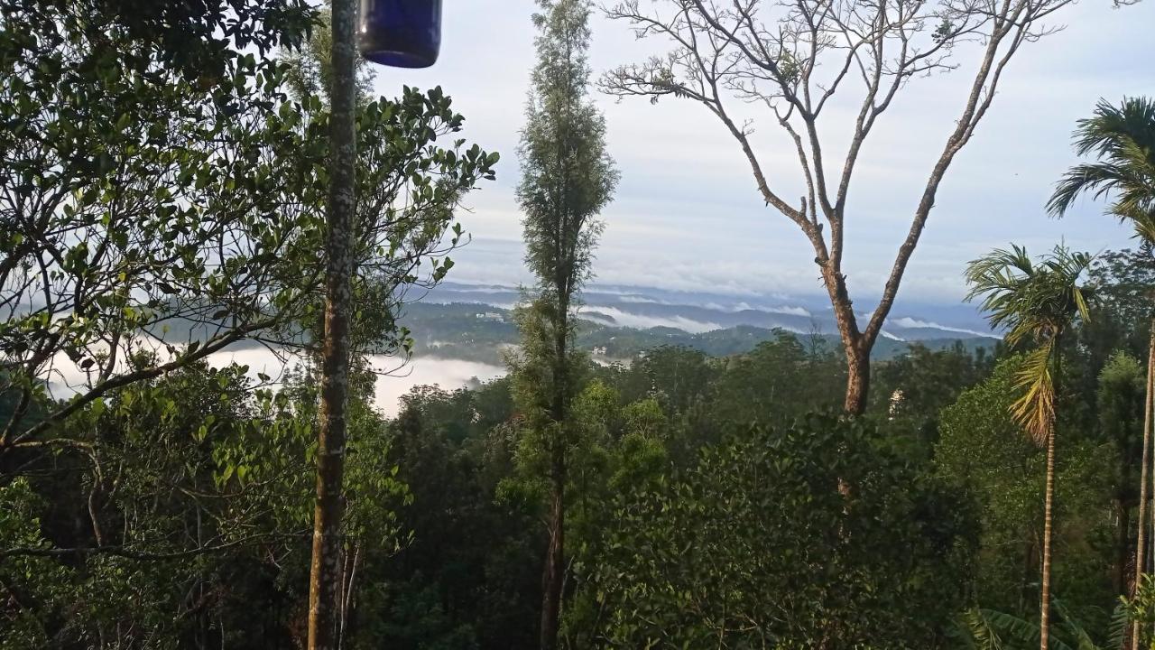 Munnar Home Stay Teadrops Plantation Villa Extérieur photo