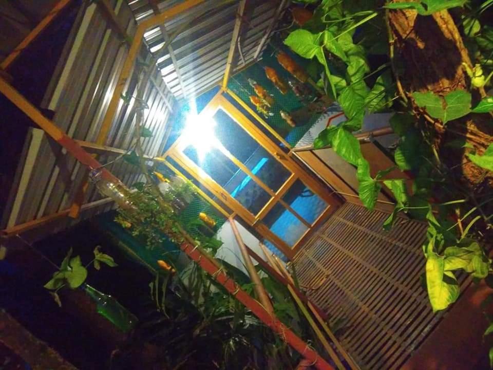 Munnar Home Stay Teadrops Plantation Villa Extérieur photo
