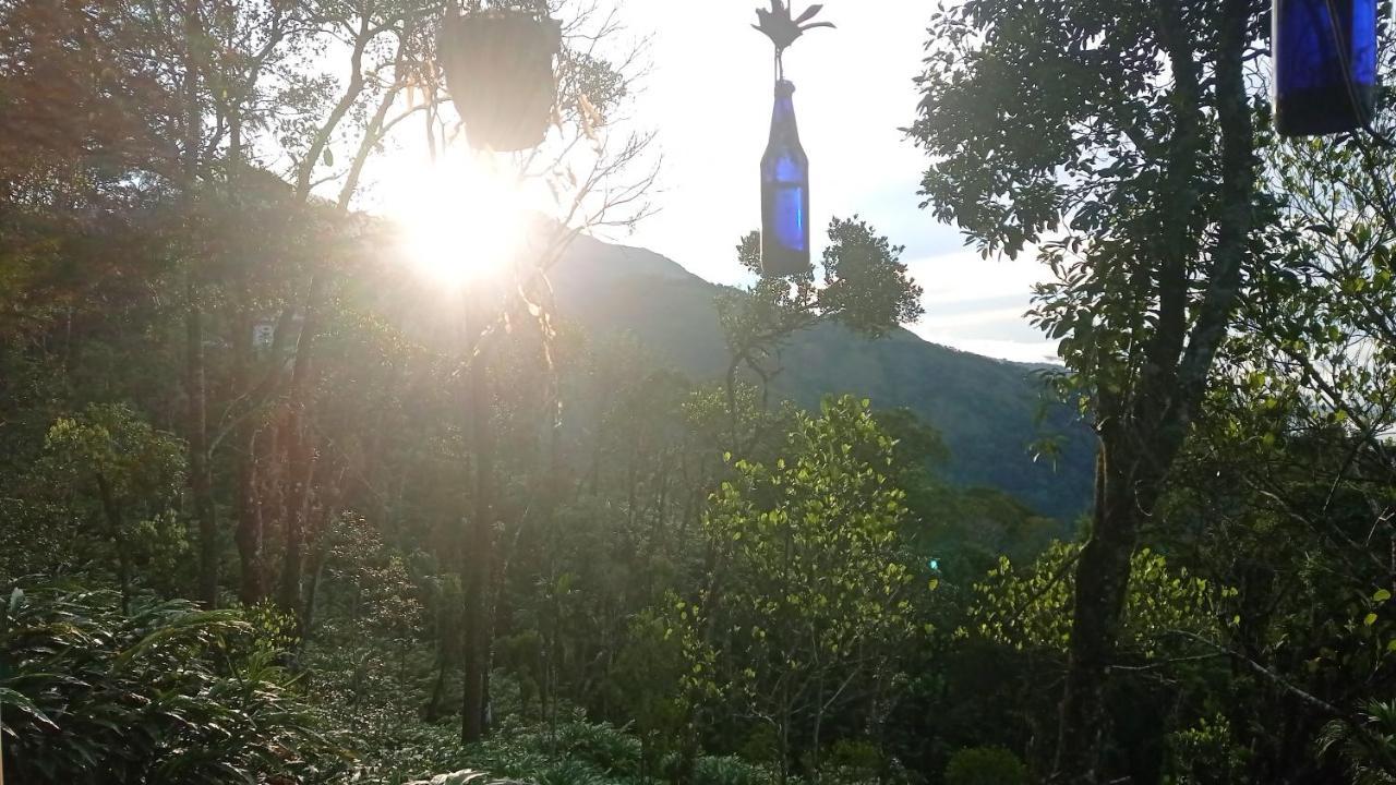 Munnar Home Stay Teadrops Plantation Villa Extérieur photo
