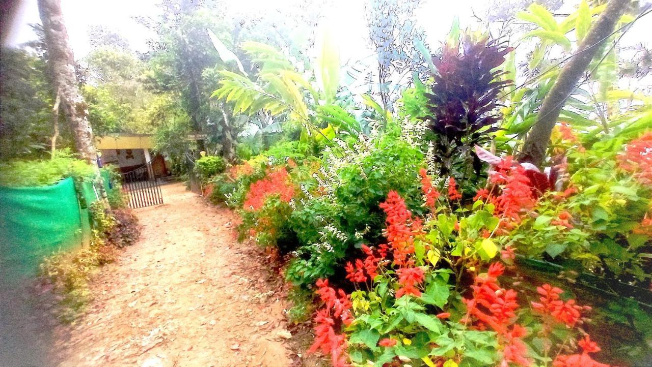 Munnar Home Stay Teadrops Plantation Villa Extérieur photo