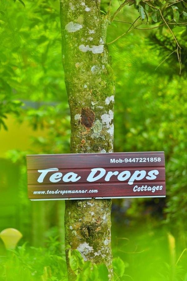 Munnar Home Stay Teadrops Plantation Villa Extérieur photo