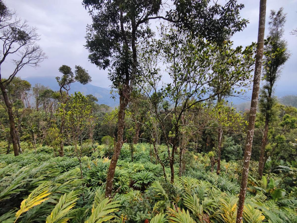Munnar Home Stay Teadrops Plantation Villa Extérieur photo