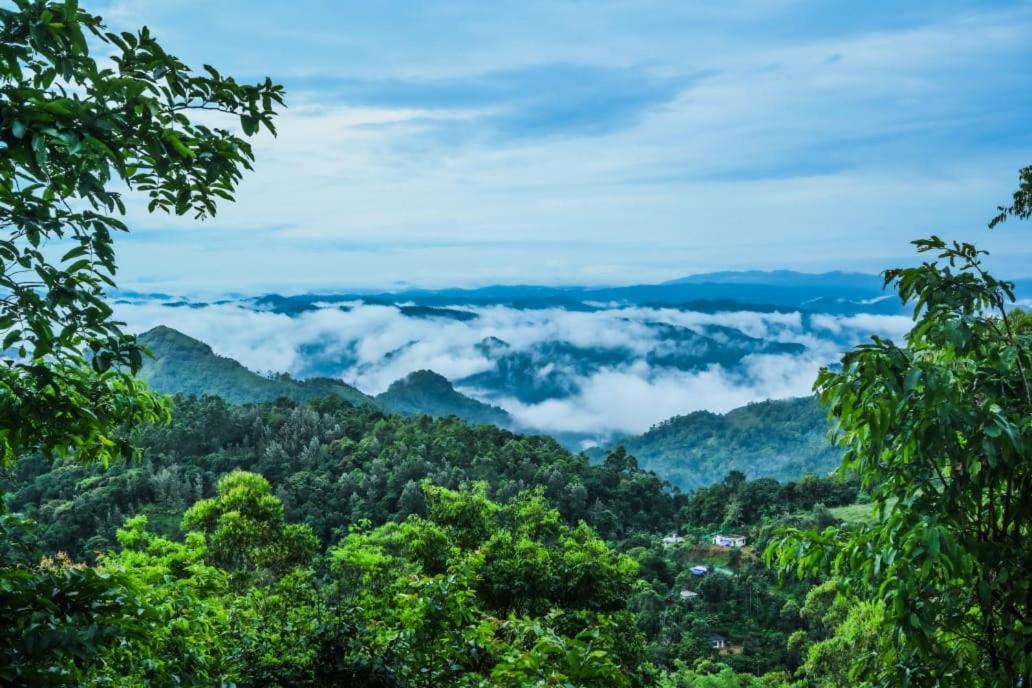 Munnar Home Stay Teadrops Plantation Villa Extérieur photo