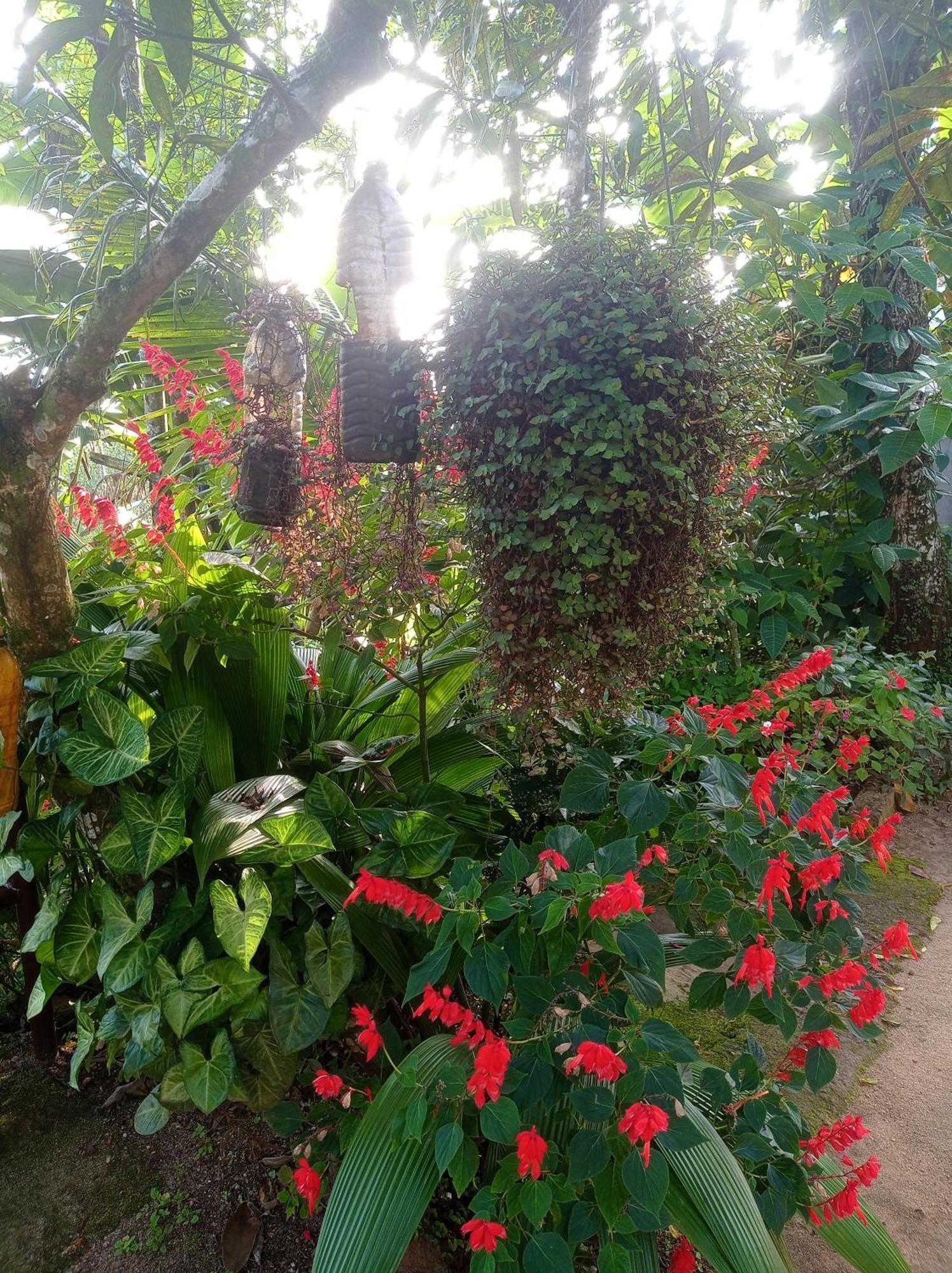 Munnar Home Stay Teadrops Plantation Villa Extérieur photo