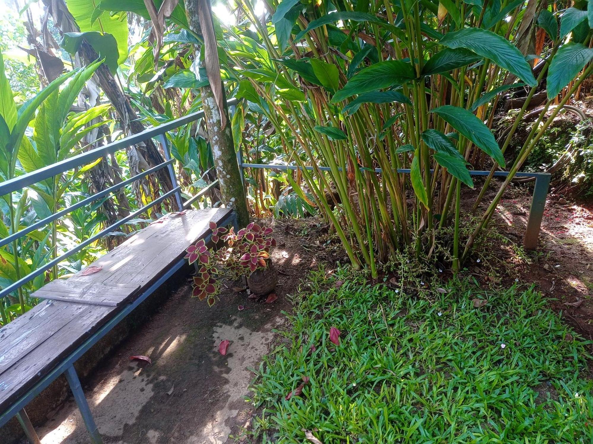 Munnar Home Stay Teadrops Plantation Villa Extérieur photo