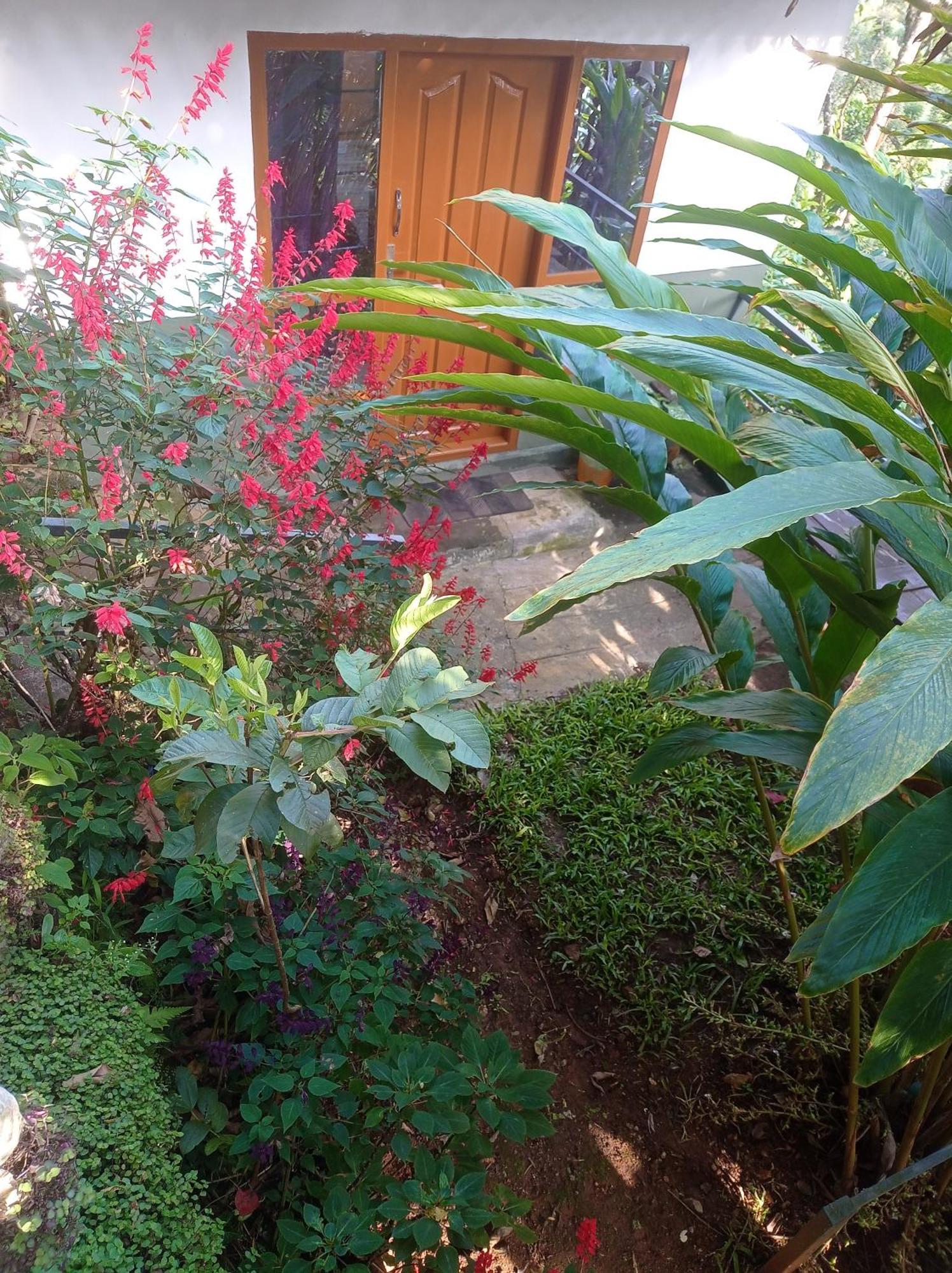 Munnar Home Stay Teadrops Plantation Villa Extérieur photo