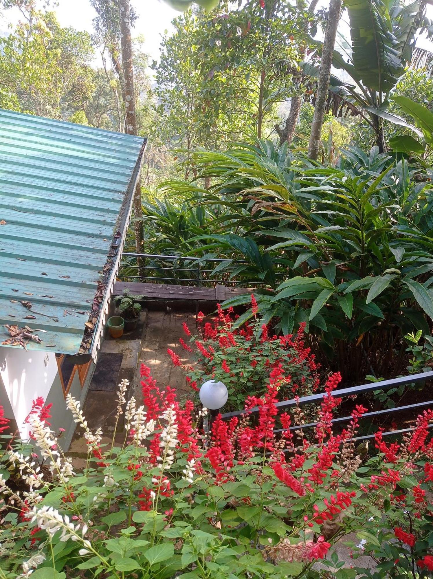 Munnar Home Stay Teadrops Plantation Villa Extérieur photo