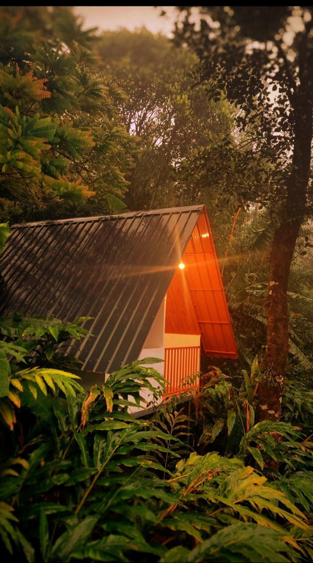 Munnar Home Stay Teadrops Plantation Villa Extérieur photo